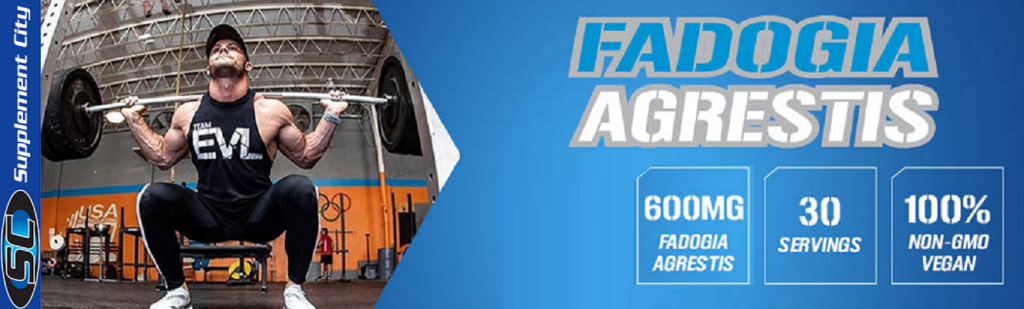 EVL Nutrition Fadogia Agrestis